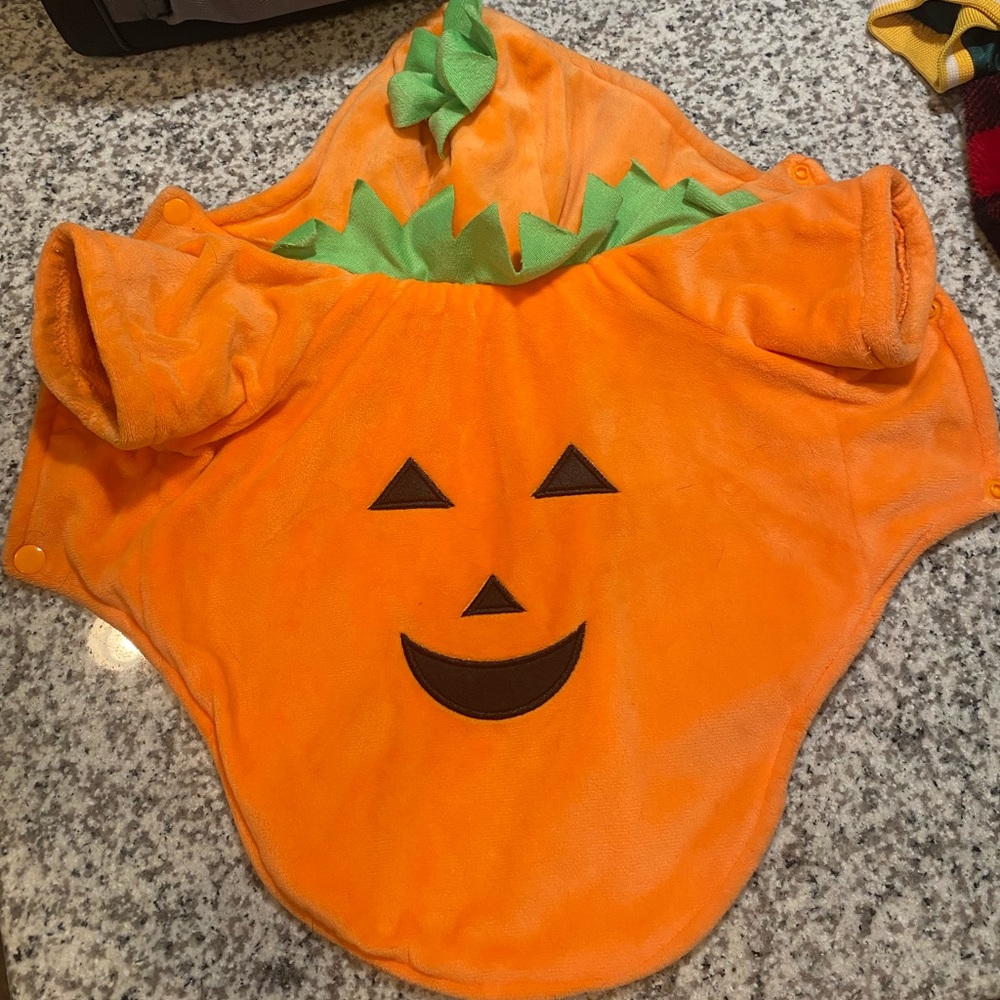Dog pumpkin Halloween costume